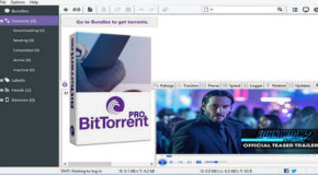 BitTorrent Pro 7.10.5 Build 45785 + Portable