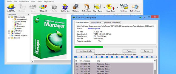 Internet Download Manager 6.29 Build 2