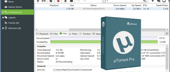 utorrent pro 3.5 5 build 45395 full