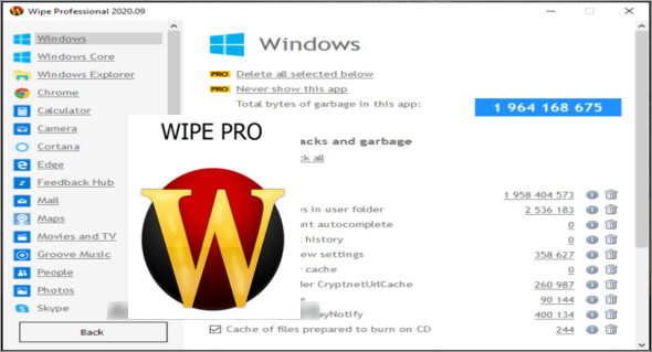 Wipe Professional 2023.05 download the new version for windows