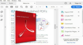 Adobe Acrobat Pro DC 2022 15.1.1.2922