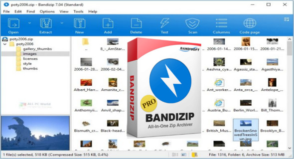 Bandizip Pro 7.32 free downloads