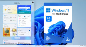 Windows 11 Pro v10.0.22000.318 x64 Multilingue