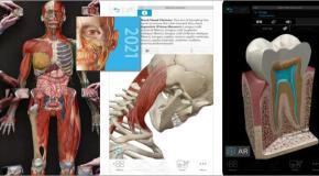 Human Anatomy Atlas 2021.2.27